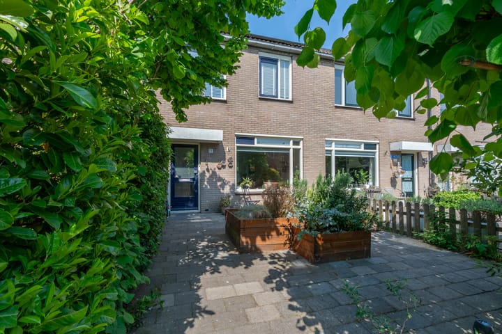 Foto 39 van Dinkel 13