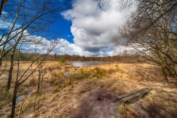 Photo 7 of Nijverheidsweg