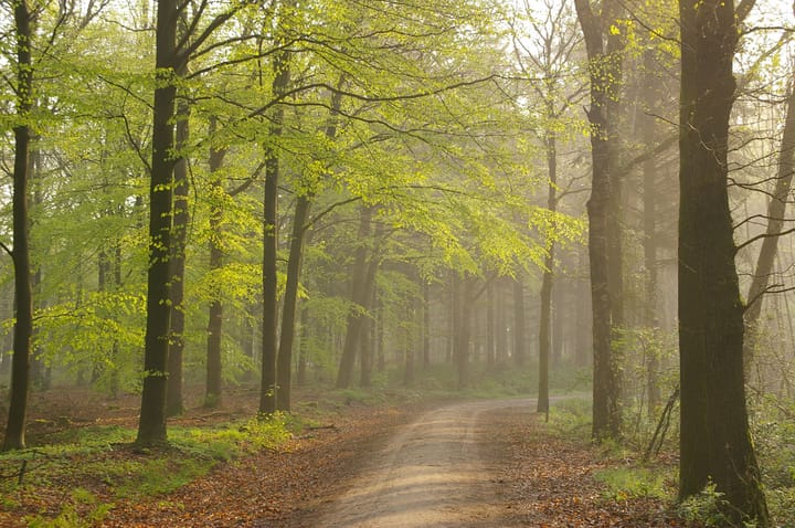 Photo 8 of Nijverheidsweg