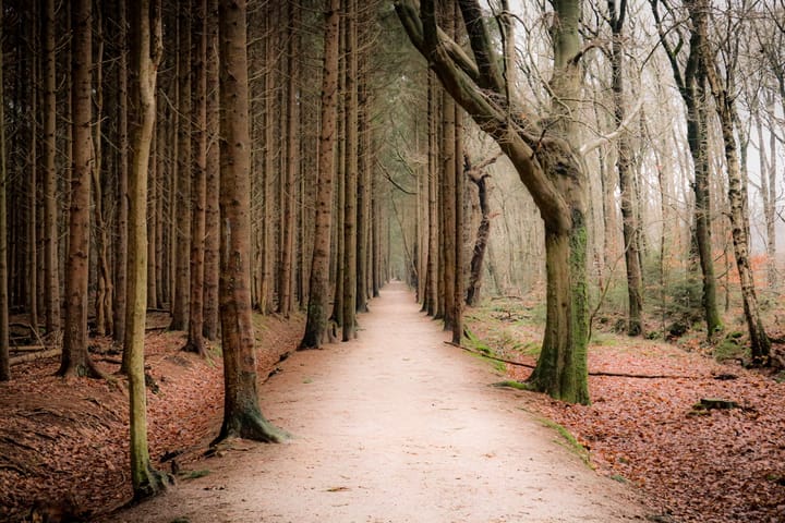 Photo 9 of Nijverheidsweg