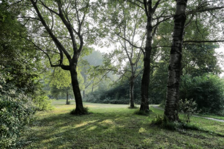 Photo 15 of Nijverheidsweg