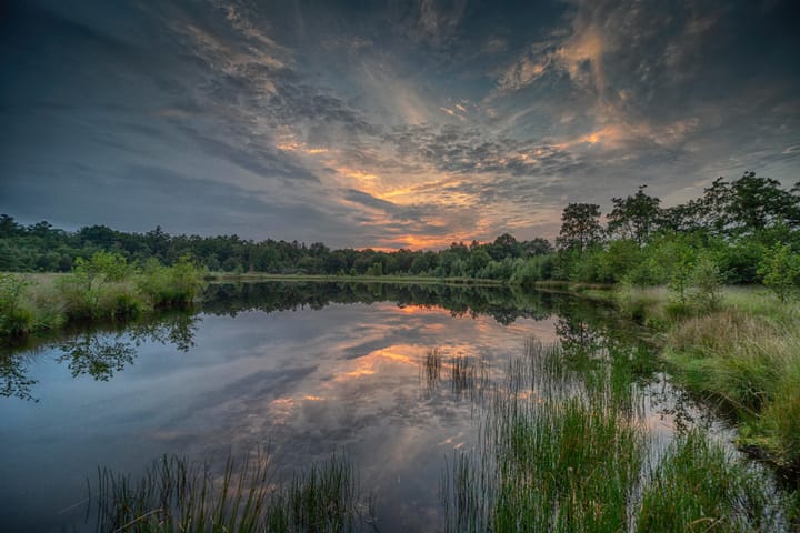 Photo 17 of Nijverheidsweg