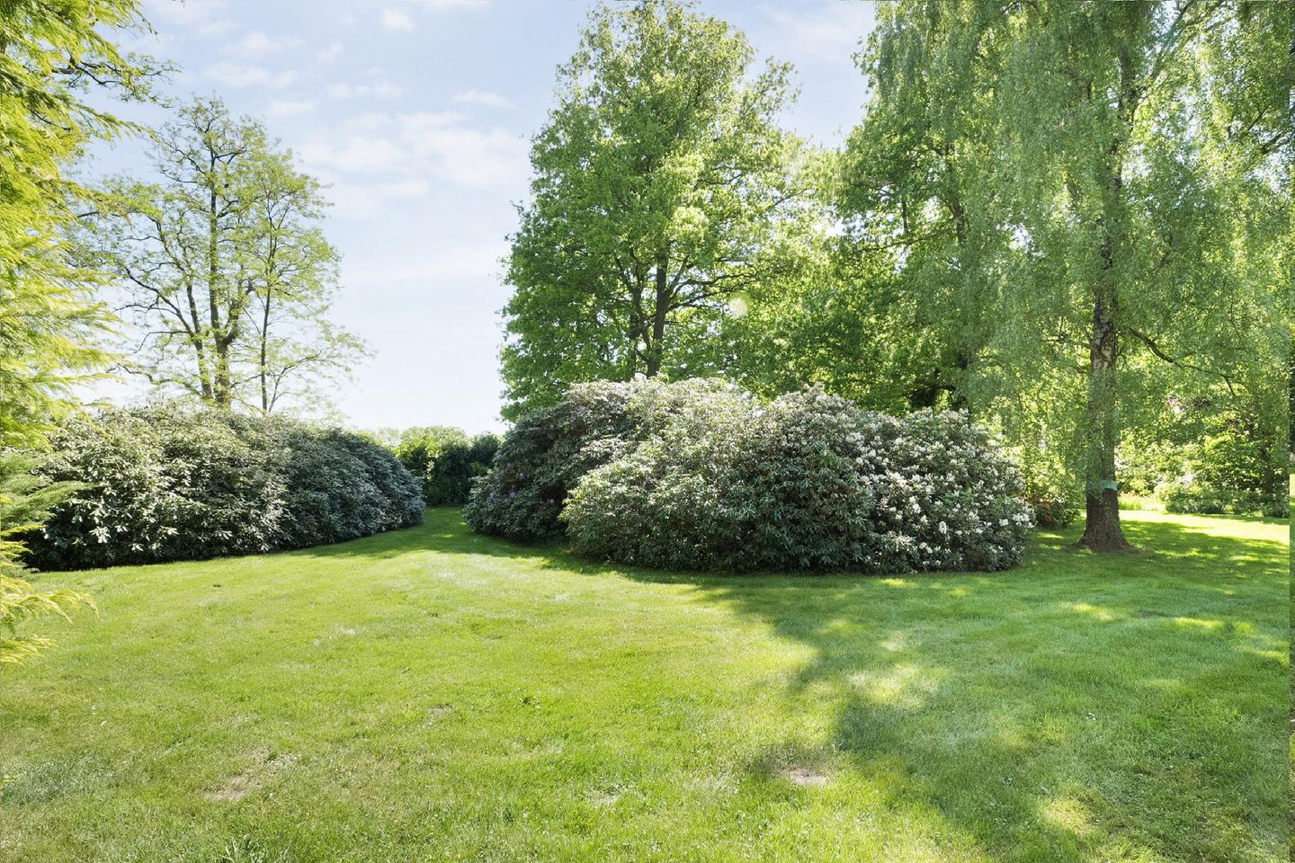 Photo 50 of Ronde Blesse 2