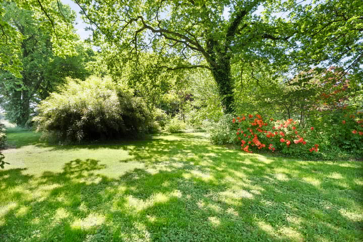 Foto 51 van Ronde Blesse 2