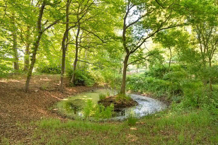 Foto 52 van Ronde Blesse 2