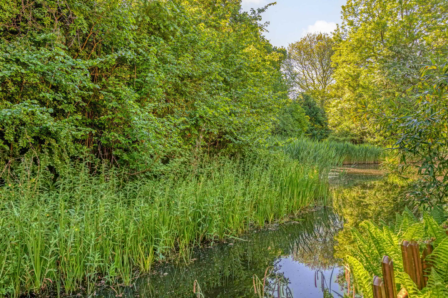 Foto 35 van Fazantenhof 47