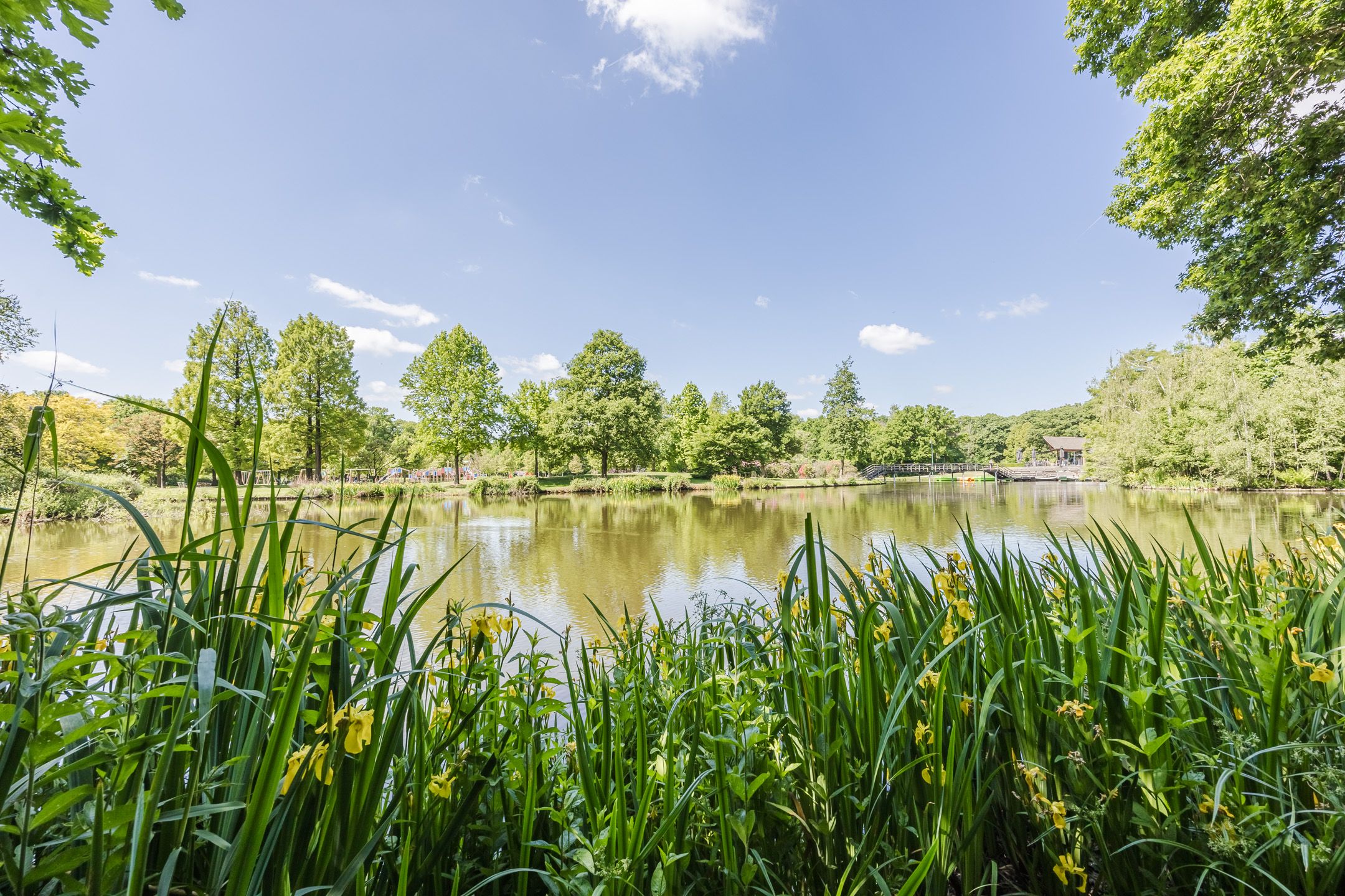 Foto 48 van Irenestraat 27