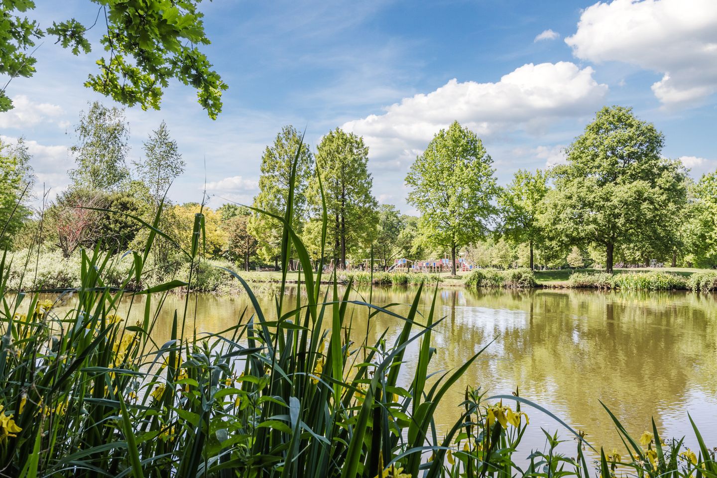 Foto 49 van Irenestraat 27