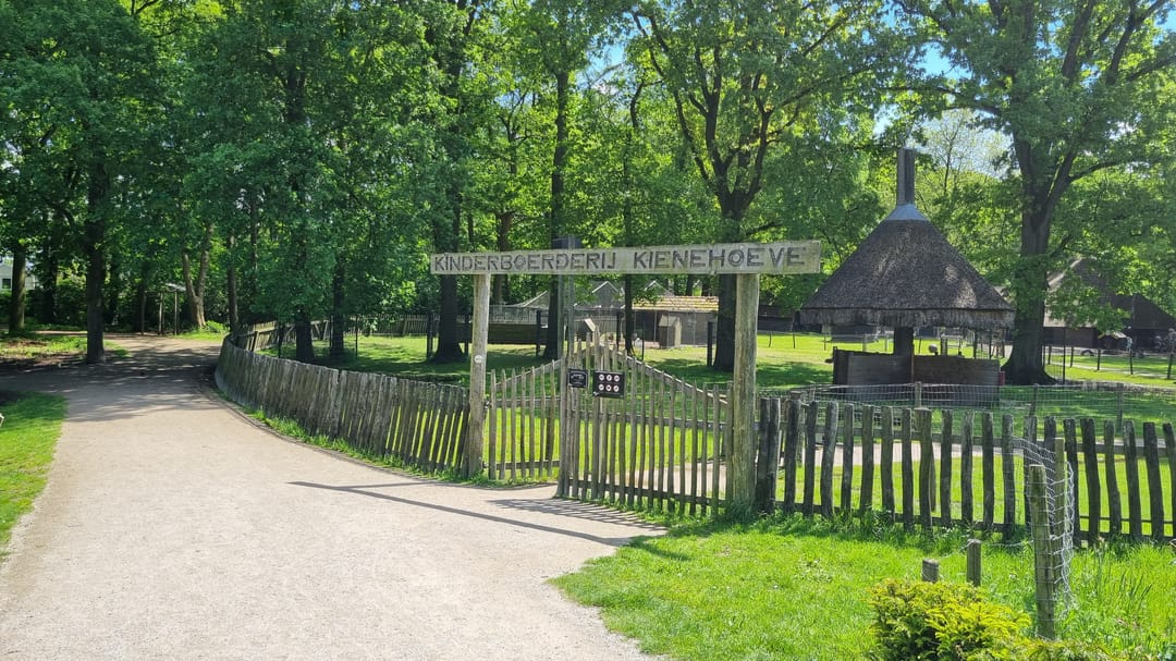 Foto 52 van Irenestraat 27