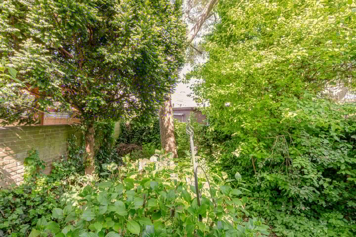 Photo 16 of Willem Arntszkade 48