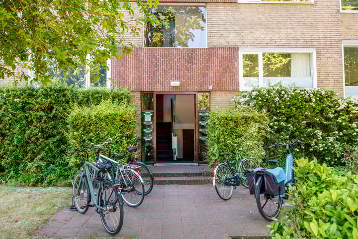 Foto 23 van Dingostraat 28