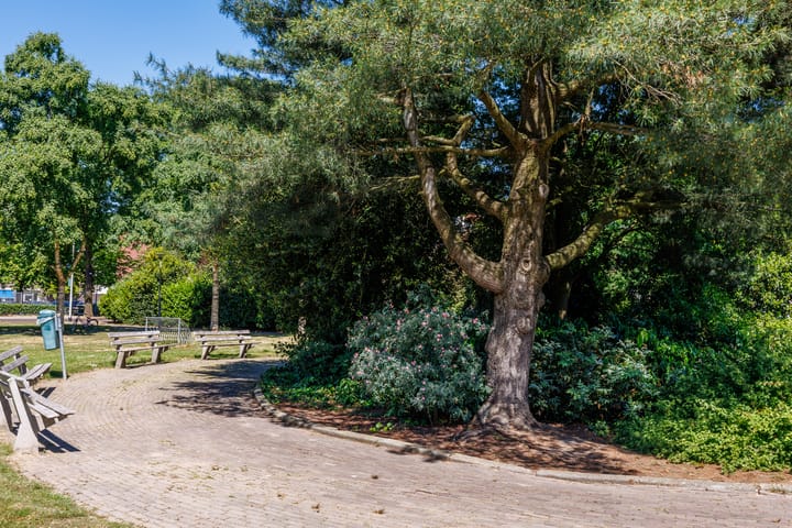 Foto 32 van Dingostraat 28