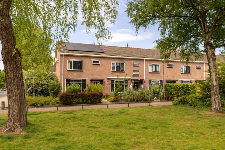 Foto 29 van Schaepmanlaan 41