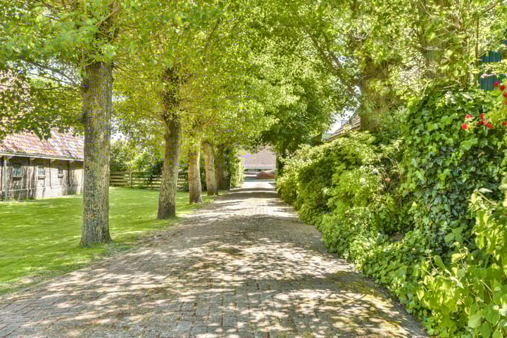 Photo 4 of Trekwei 7