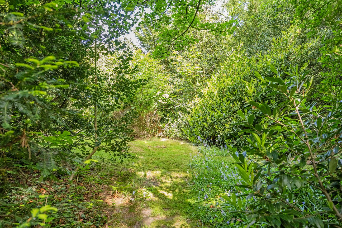 Foto 49 van Vossenberglaan 6