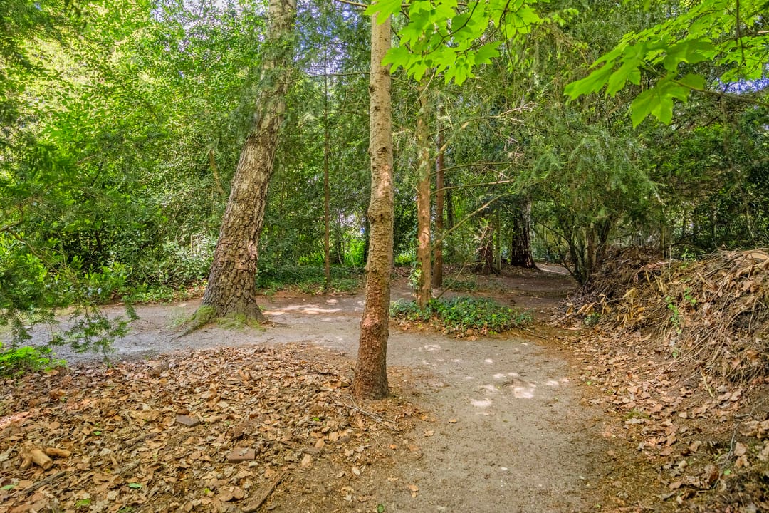 Foto 52 van Vossenberglaan 6