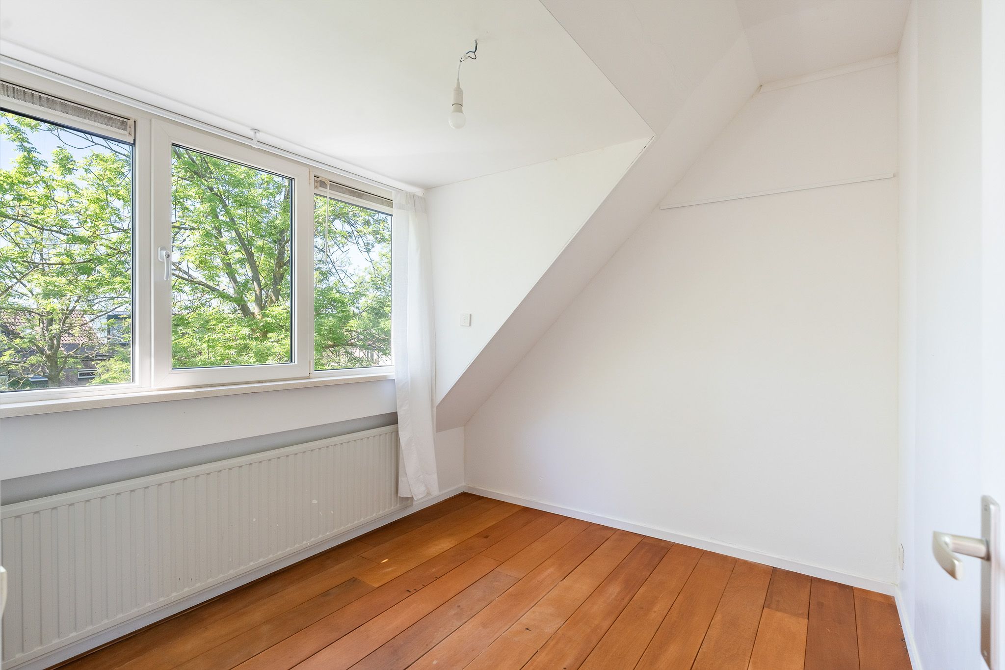 Foto 24 van Arthur van Schendelpad 5