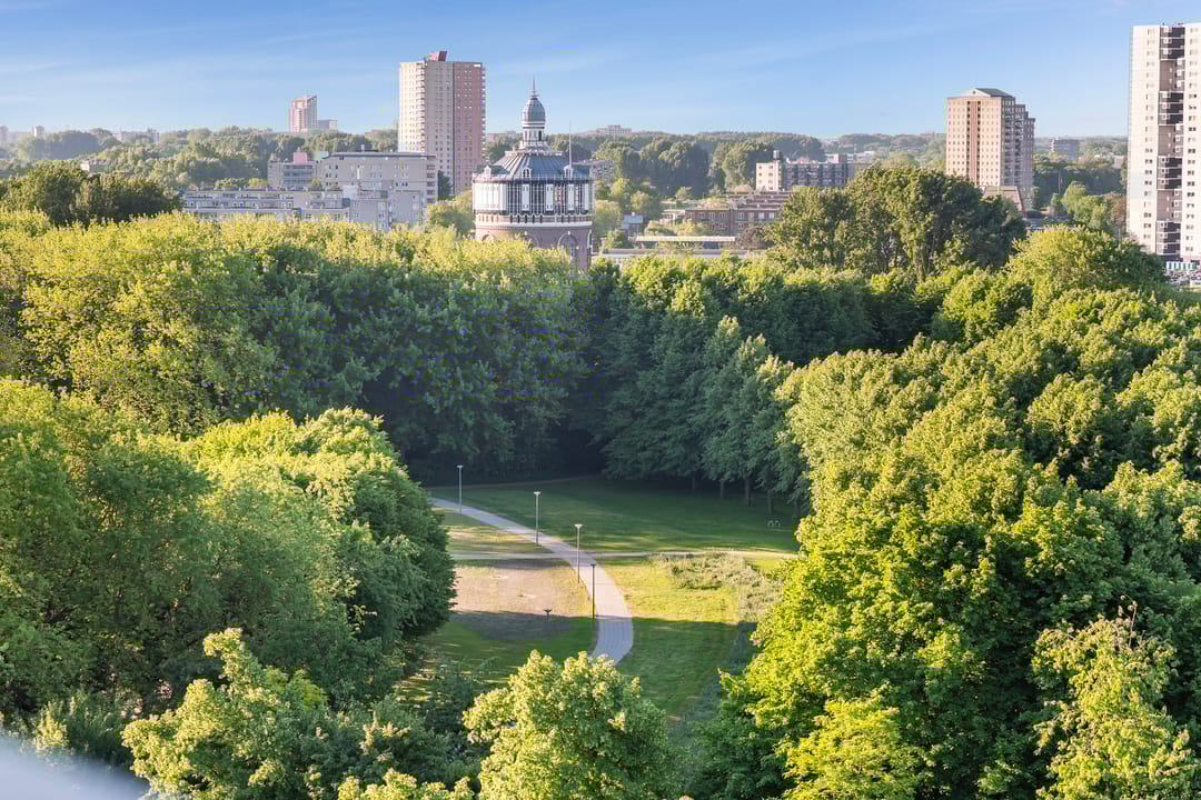 Photo 38 of Oostmaaslaan 574