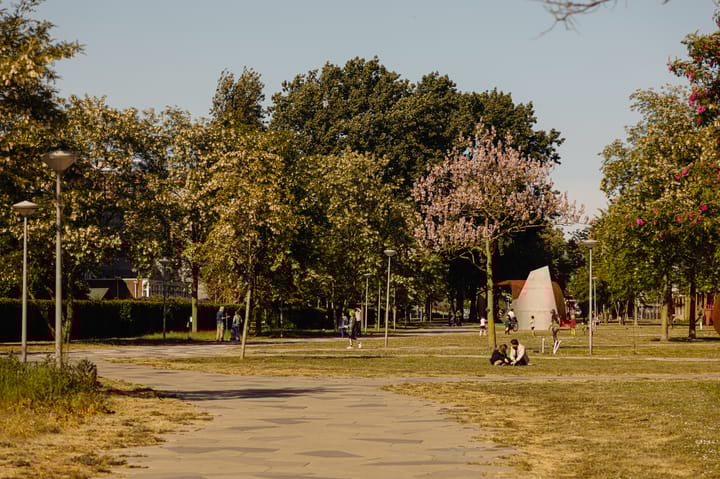 Foto 24 van Cornelis Vermuydenstraat 54