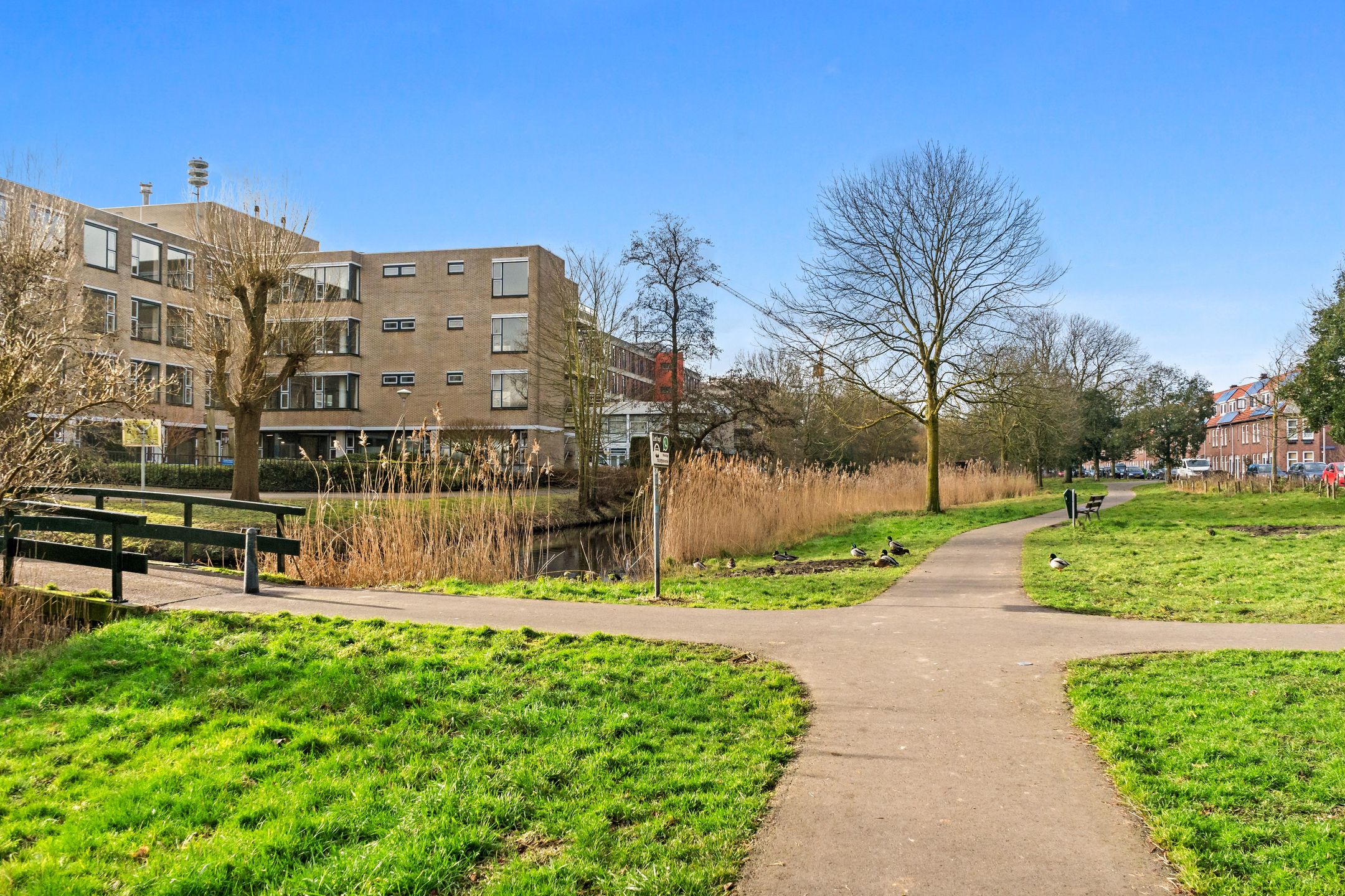 Foto 30 van Tonystraat 49