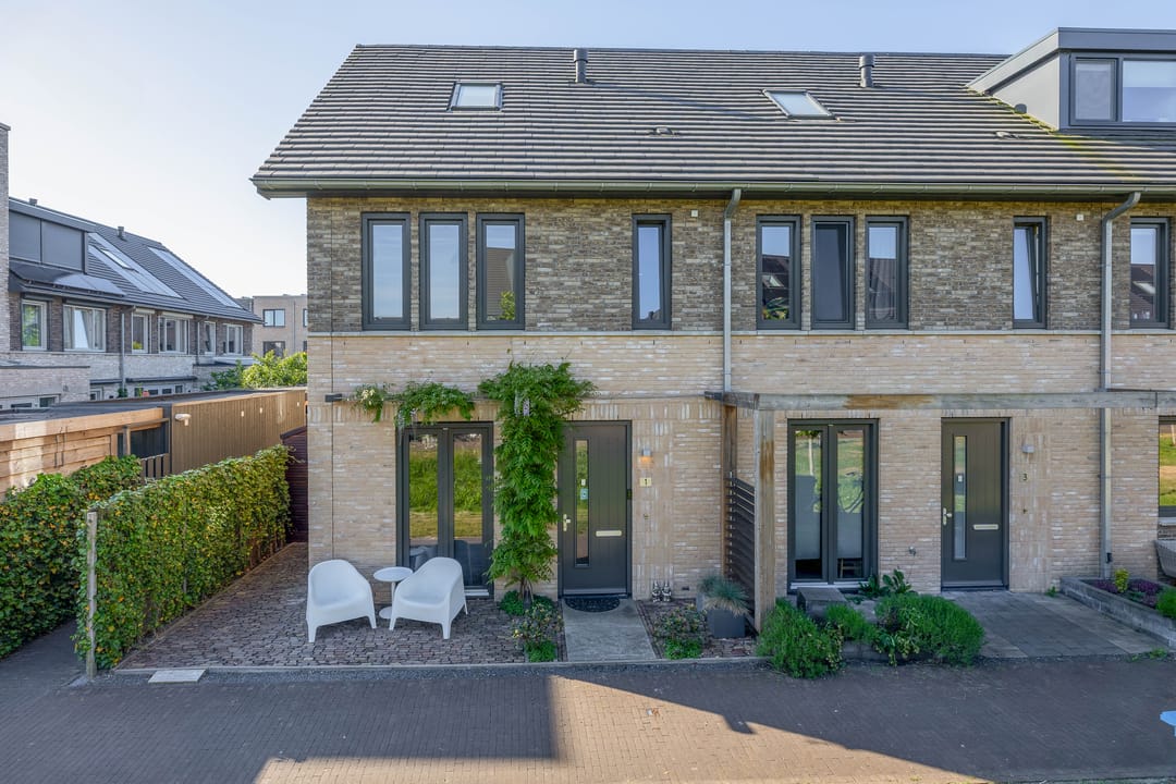 Foto 2 van Kuifeend 1