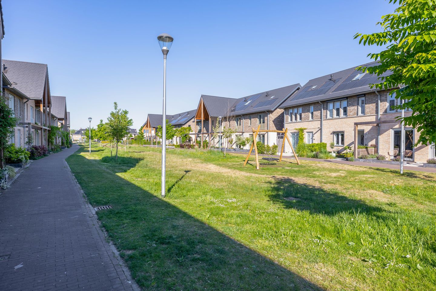 Foto 4 van Kuifeend 1