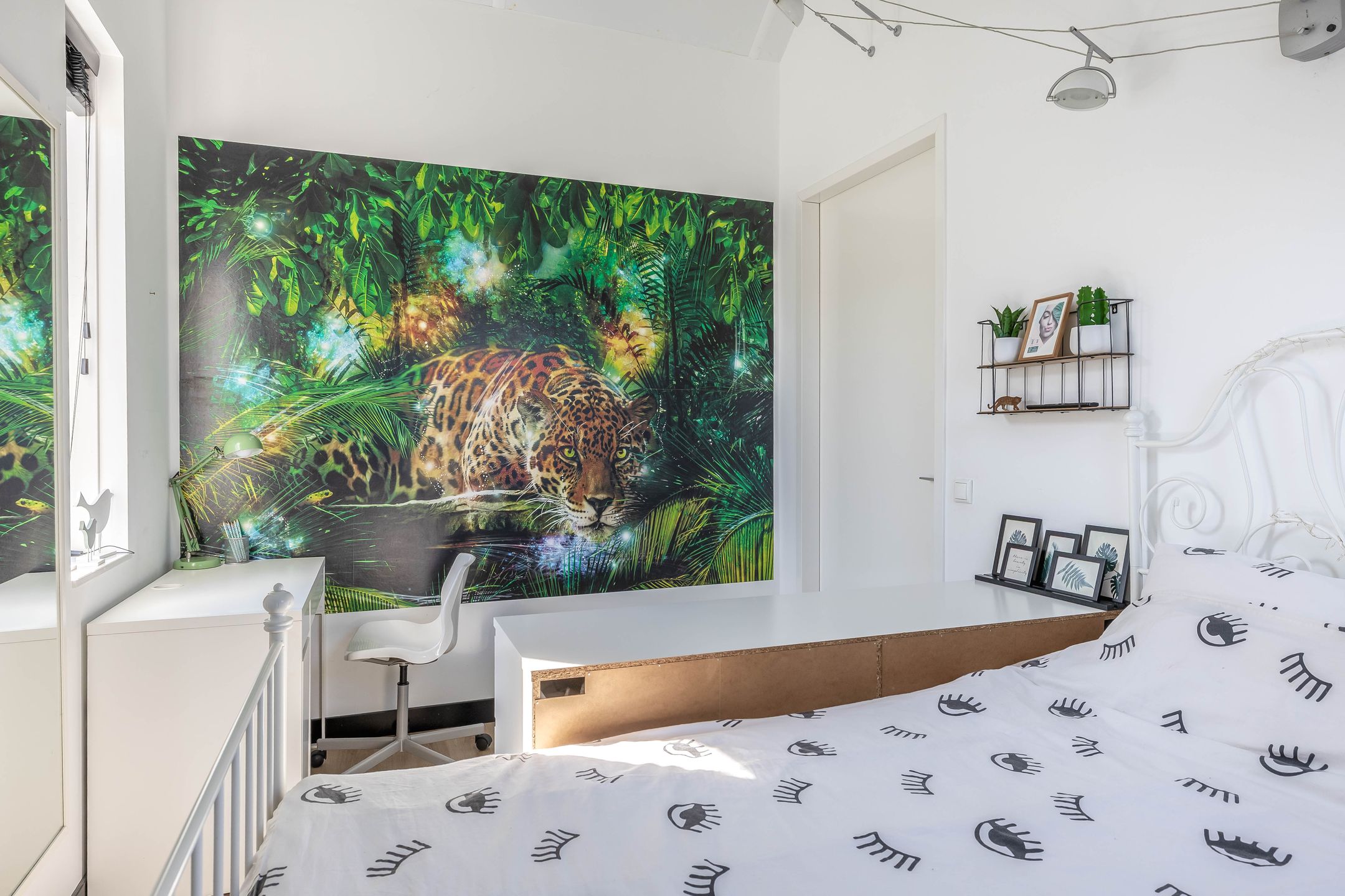 Foto 33 van Kuifeend 1