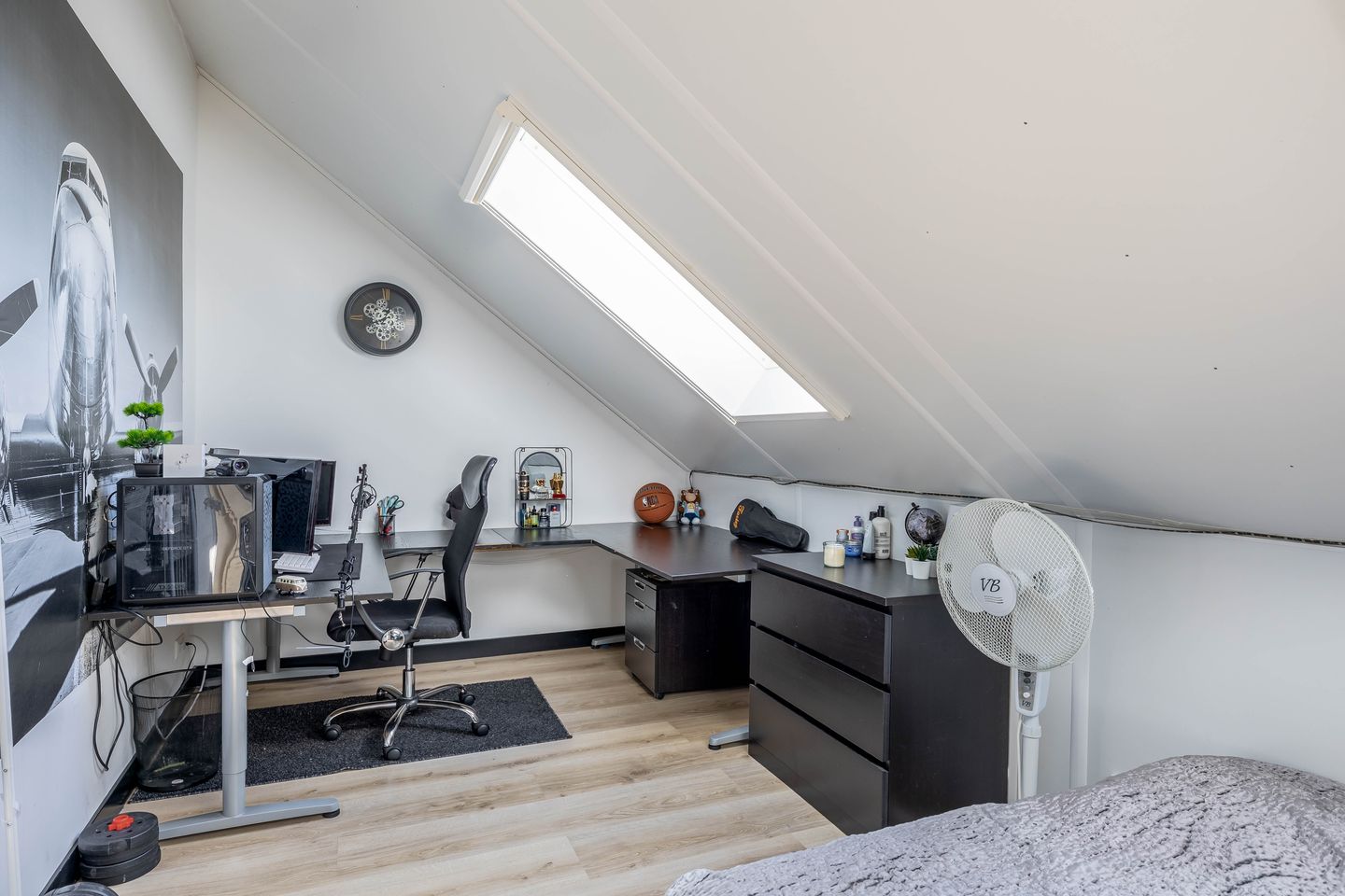 Foto 34 van Kuifeend 1