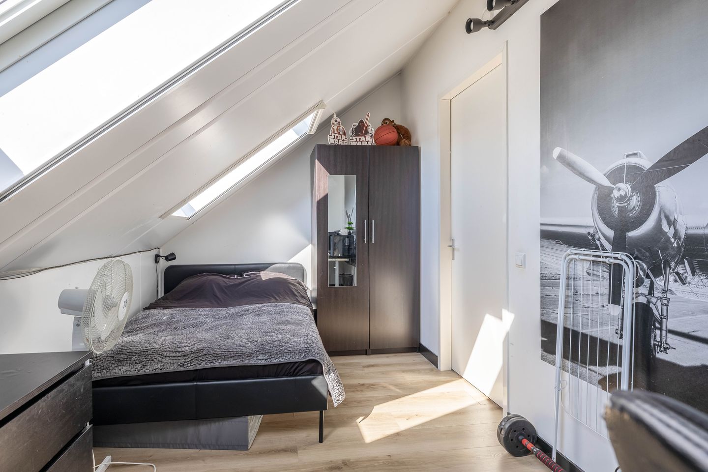 Foto 35 van Kuifeend 1