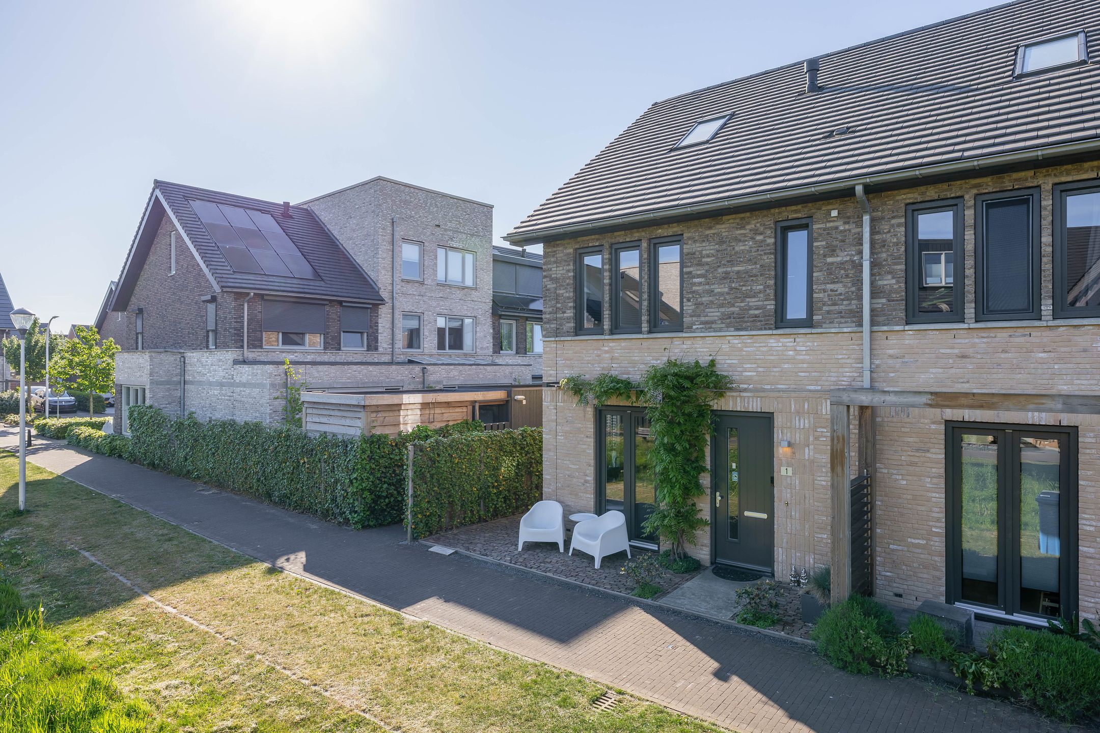 Foto 36 van Kuifeend 1