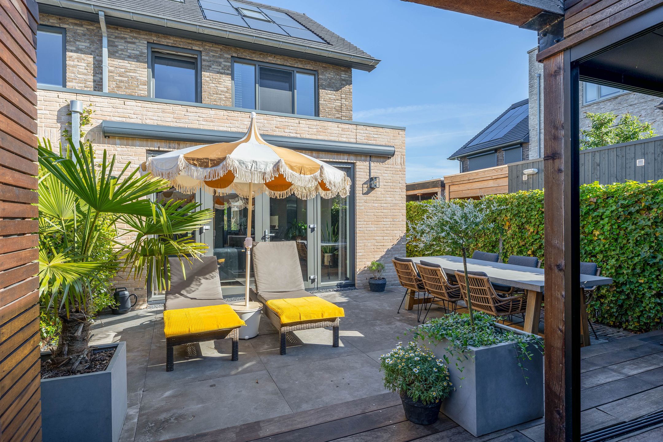 Foto 15 van Kuifeend 1