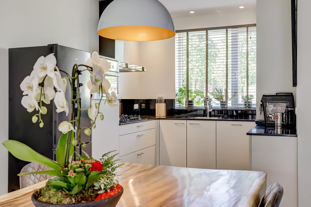 Foto 16 van Valeriaan 3