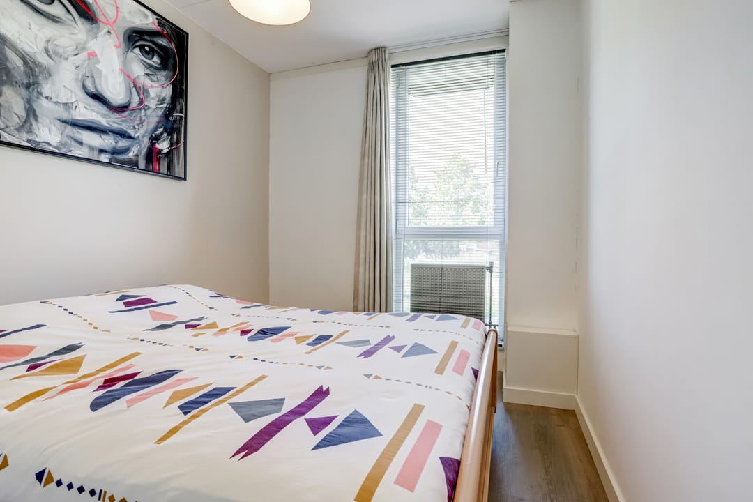 Foto 22 van Valeriaan 3