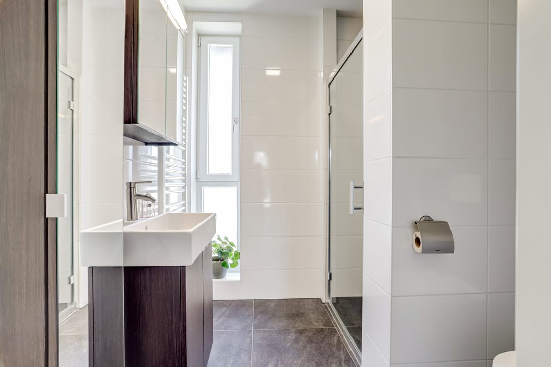 Foto 23 van Valeriaan 3