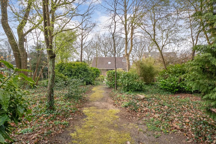 Foto 5 van Dwingelderdijk 27