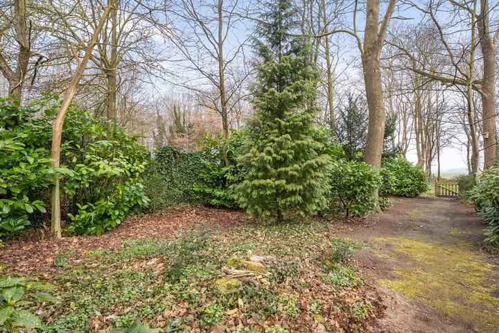 Foto 53 van Dwingelderdijk 27