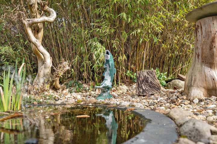 Foto 56 van Dwingelderdijk 27