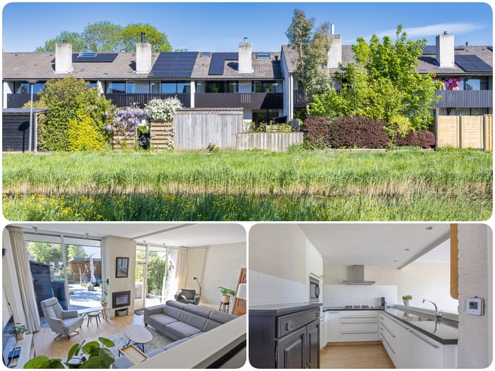 Foto 42 van R Pollemaplein 10