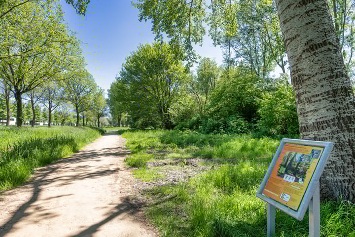 Foto 34 van Fogelsanghstate 62