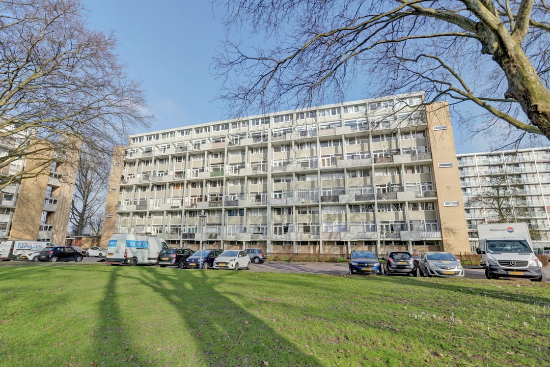 Foto 31 van Van Bosseplantsoen 132