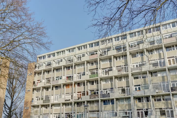 Foto 32 van Van Bosseplantsoen 132