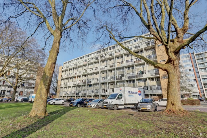 Foto 33 van Van Bosseplantsoen 132