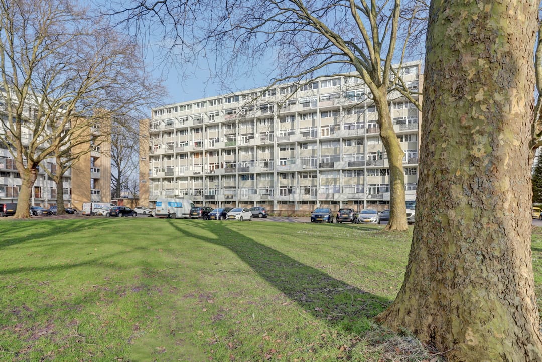 Foto 2 van Van Bosseplantsoen 132