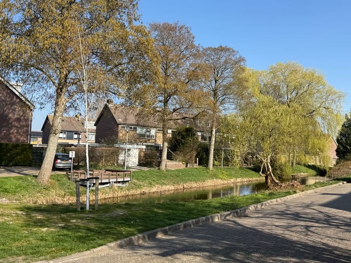 Foto 2 van Elzensingel 2