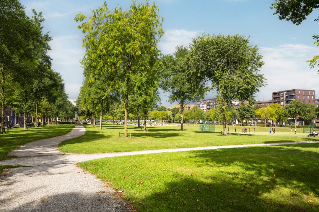 Foto 53 van Emmy Andriessestraat 366