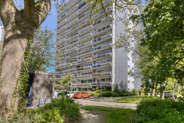 Foto 6 van De Roerdomp 61