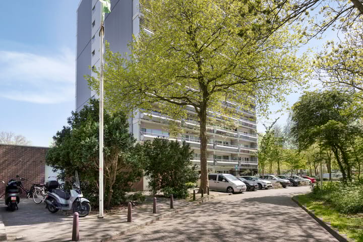 Foto 7 van De Roerdomp 61