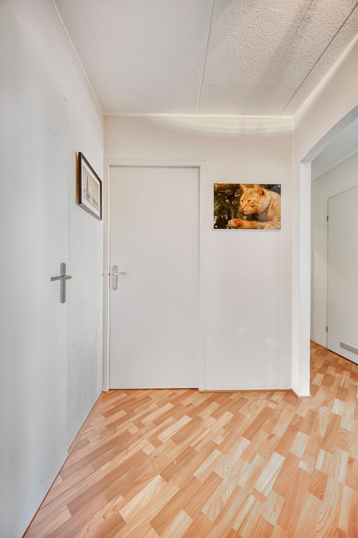 Foto 9 van De Roerdomp 61