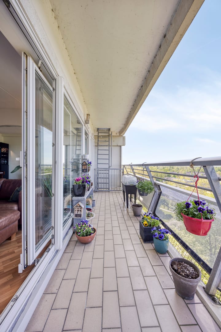 Foto 5 van De Roerdomp 61