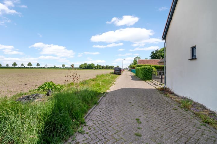 Photo 55 of Vosberg 8